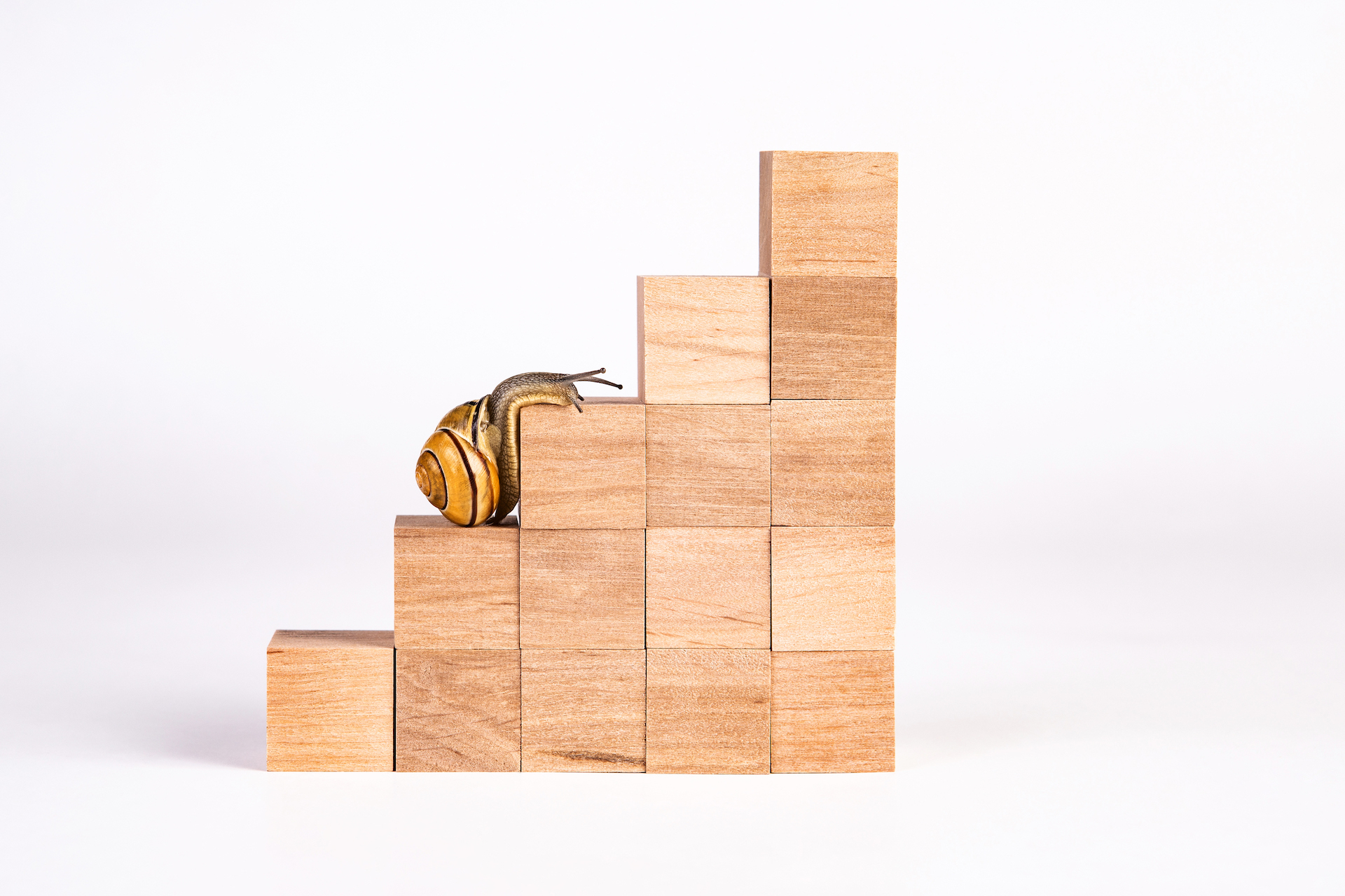 Snail walk up the career stairs. Ladder made with wooden cubes. Concept of personal development, career , changes, success.